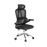 купить Кресло офисное FlexiSpot OC19BB, регулировка высоты, подлокотник 1D, Black в Алматы фото 3