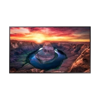 купить Профессиональный дисплей Samsung  LH65QMBEBGCXCI (65**/VA/16:9/3840 X 2160 (UHD)/ 500nit/8ms/ 24/7) в Алматы