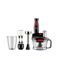 Купить Блендер погружной Fakir Mr.Chef Quadro черный Алматы